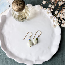 Load image into Gallery viewer, Lost At Sea Scalloped Trinket Dish